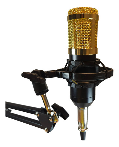 Kit Streaming Microfono Estudio Atril Filtro Bm800k Cipriani