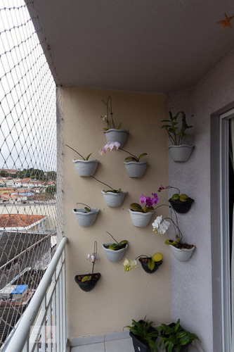 Apartamento À Venda - Vila Sônia, 2 Quartos, 45 - S893103590