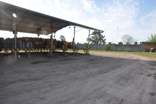 Imagen 7 de 14 de Depósito Y Terreno 10.000m2. Ingreso P/ Avenida Y Calle Lat.