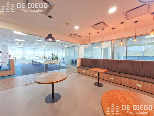 Oficinas En Alquiler 1060 M2 En Edificio Lumina Thames San Isidro, Certificacion Leed Green Building