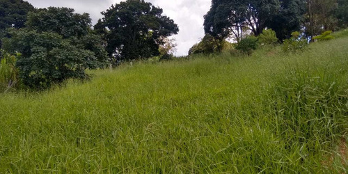 Imagem 3 de 6 de Terreno 2.100m2 Com Escritura A Venda Em Pinhalzinho Sp