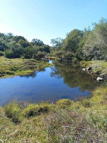 Imagen 4 de 4 de Al1116 Venta 40 Hectareas De Pradera En Paraje Sauce Aiguá