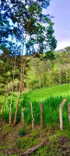 Finca En La Palma Cundinamarca