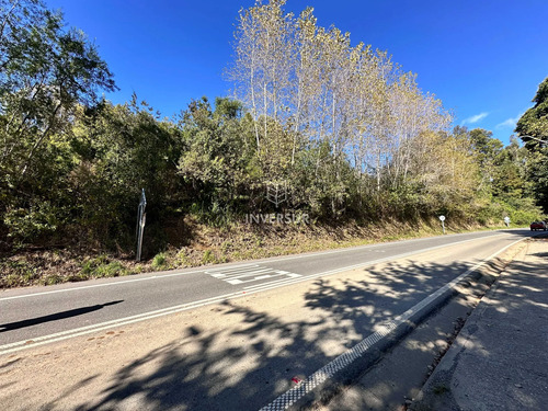 Terreno En Arique Ruta A Valdivia (133760)