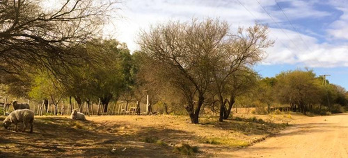 San Francisco Del Monte De Oro, Chacra Sobre Ruta 40 Has , Escritura Inmediata