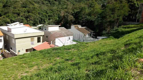 Imagem 4 de 10 de Terrenos - Ref: V479861