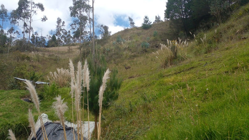 Venta De Terreno, Casa De Campo, Granja, Lote En Hermoso Sector De Cuenca, Punta Corral, Turi