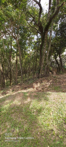 Imagem 4 de 4 de Ester Imóveis Negócios Imobiliários - Vende - Creci: 180319-f - Te00030 - 68729511