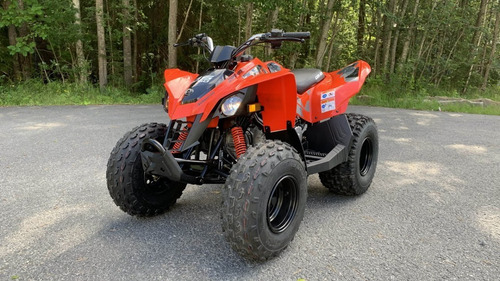 Imagen 7 de 15 de Canam Ds 90 Cuatri 0km No Yamaha Honda Motomel Usd