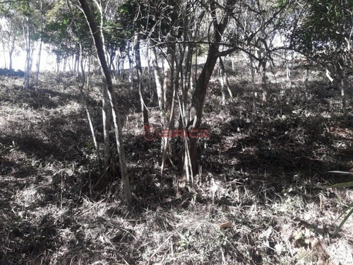 Imagem 6 de 24 de Terreno Com 340 M² Em Condomínio Em Vargem Grande. - Te00279 - 34416617