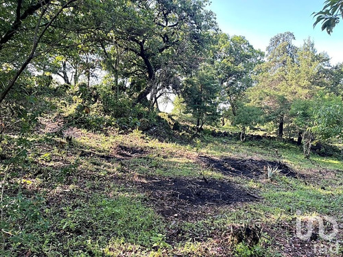 Venta Terreno 0 Ambiente Santo Domingo Ocotitlán