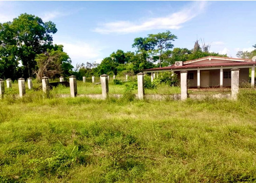 Inmobiliaria Mundo Inn Vende En Cojedes, Hermosa Finca Productiva