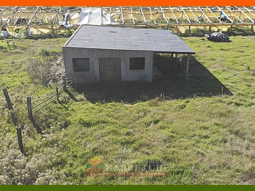 Chacra 10 Has En Venta - Monoambiente En Sauce