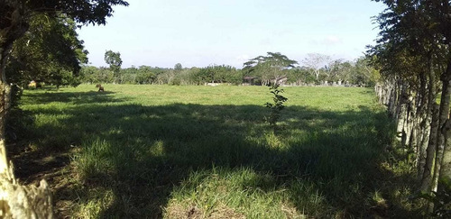 Te Vendo Excelente Finca En Monte Plata