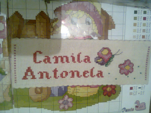 Bordados En Punto De Cruz / Personalizado.