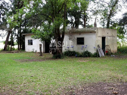 Imagen 3 de 9 de 29 Has Hortícolas Con Casa - Bavio, Magdalena