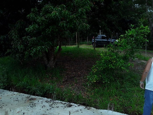 Imagem 17 de 17 de Chácara À Venda Em Juquitiba - 414 - 34854187