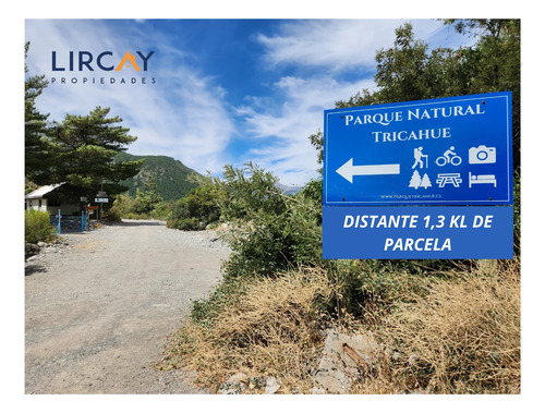 Lote Media Hectárea En Medio De La Precordillera Maulina!