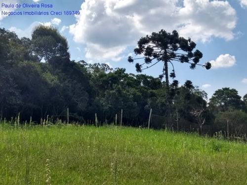 Imagem 8 de 17 de Terreno - Te00050 - 69320696