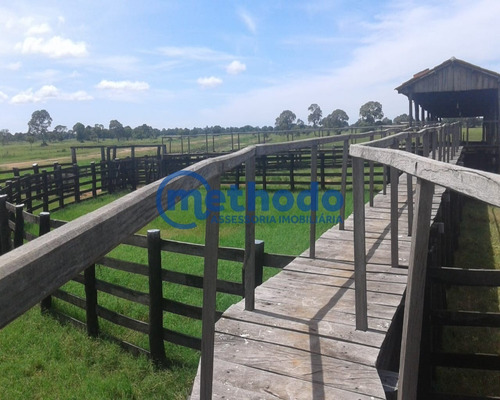 Fazenda - Fa00006 - 68495881