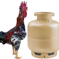 Comprar 12 Ovos Ferteis Balão Sertanejo Gsb