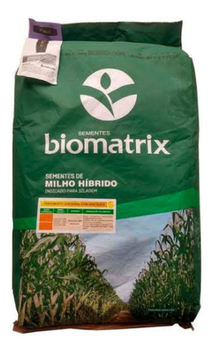 5 Kg - Sementes De Milho Verde Hibrido - 3066 Pro3