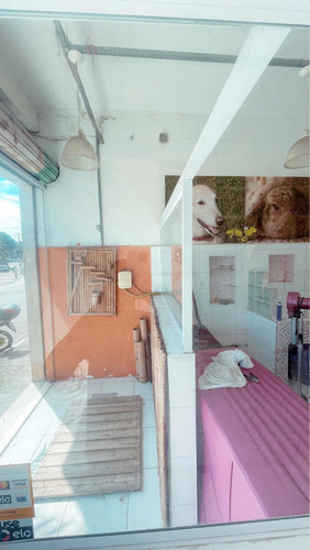 Imagem 5 de 8 de Vendo Pet Shop Zona Leste
