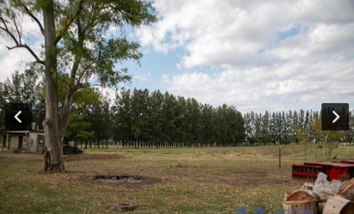 Imagen 7 de 23 de Hermoso Campo De 10 Ha En Cardales - Exaltacion De La Cruz