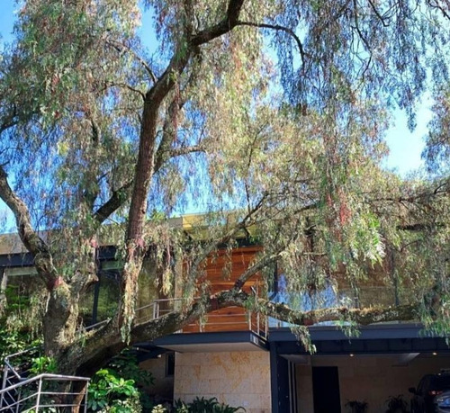 Imagen 4 de 30 de Casa En Venta En Jardines Del Pedregal