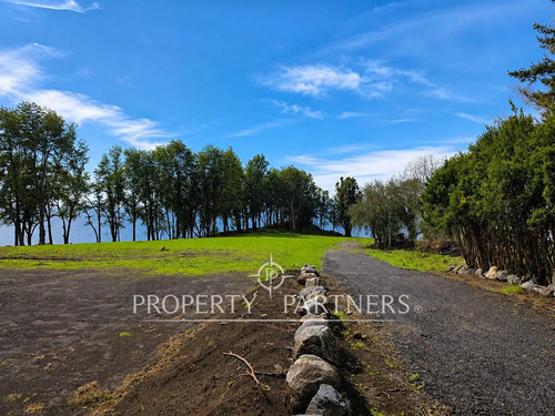 Exclusivas Parcelas Con Orilla Al Lago Puyehue 
