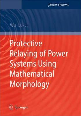 Libro Protective Relaying Of Power Systems Using Mathemat...