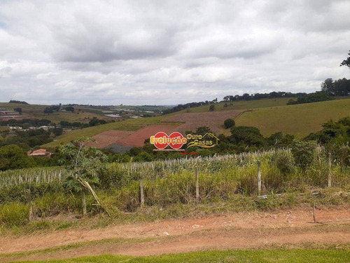 Imagem 29 de 30 de Sítio Rural À Venda, Biriçá, Bragança Paulista. - Si0133
