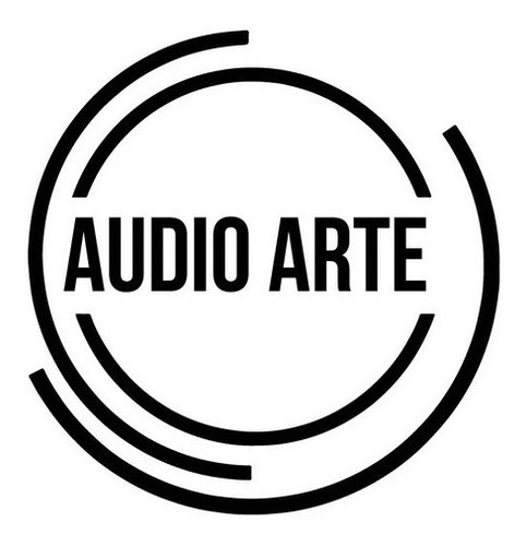 Auriculares In-ear Kz Zsn Pro C/mic Gray