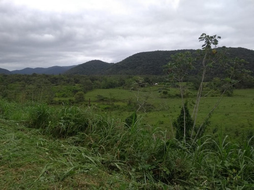Imagem 21 de 30 de Fazenda - Fa00001 - 33289252