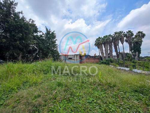 Terrenos En Venta En Col. Vicente Guerrero En Cuautla Con Conexión A Servicios