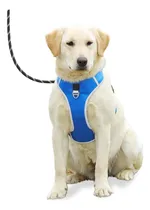 Comprar Lucky Hank Arnés Para Perros Medianos Sin Tirones, Chaleco Y