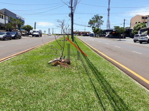 Imagem 6 de 15 de Comercial Salão Comercial - 74341-v