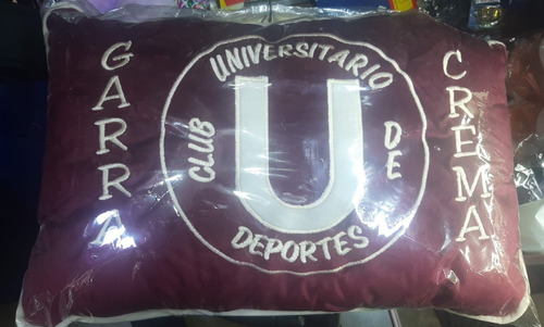 Almohada De Universitario De Peluche Antialergico Bordada