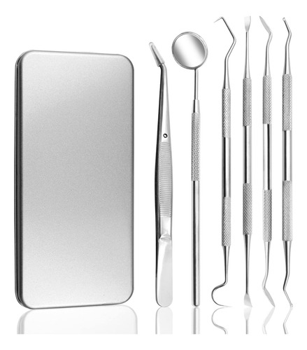 Juego De 5 Palillos De Dientes Portátiles Acero Inoxidable