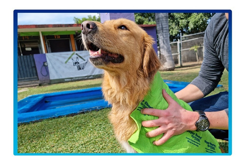 Super Shorby - Toalla Súper Absorbente - Hecho En Alemania