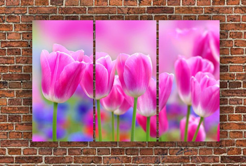 Cuadro 80x120cm Colores Flores Flowers M2