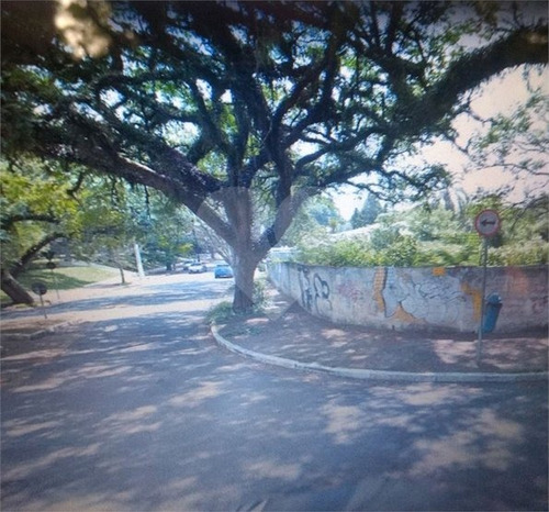 City Boaçava - Frente A Praça Barão Pinto Lima - 353-im80953