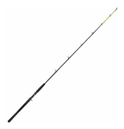 Caña De Bait Marine Sports Laguna 2 15-30 Lbs 1,83 Mts