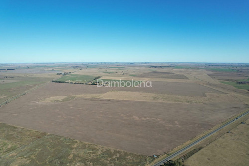 Imagen 27 de 27 de Terreno Campo En Venta En Carmen De Areco, Resto De La Provincia, Buenos Aires