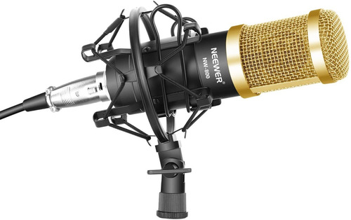 Micrófono Condensador Neewer Nw-800 Sin Phantom W01