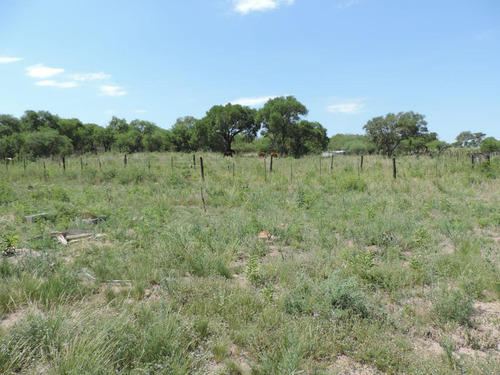 Oportunidad !!! Campo Productivo, Cría Y Siembra - 65 Has En San Pedro, Cba.