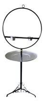 Comprar Pie De Loro - Artesanal - Espectacular - Jaulas Lopardo