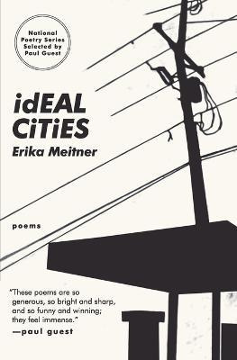 Libro Ideal Cities - Erika Meitner