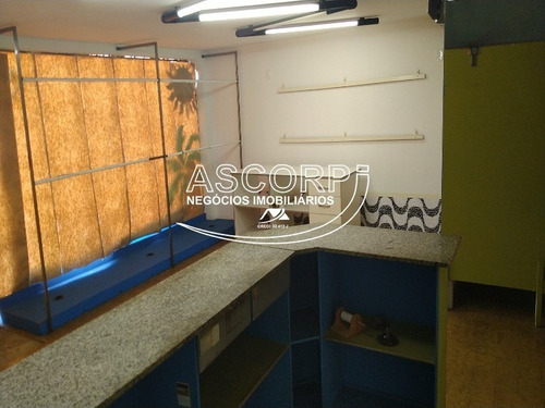 Imagem 14 de 30 de Ótima Casa No Bairro Santa Cruz Em São Pedro (código Ca00740) - Ca00740 - 70280998