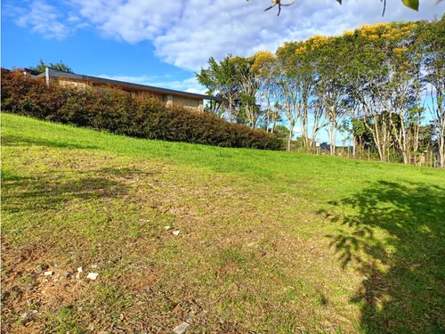 Lote En Venta Sector Alto De Palmas Envigado